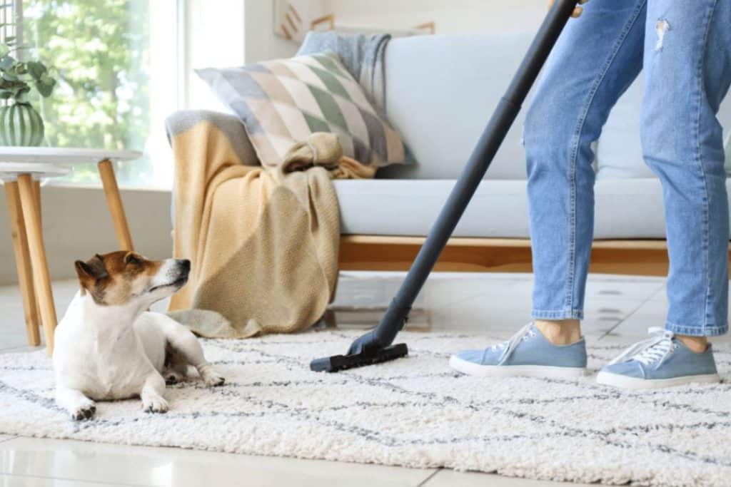 Home Cleaning Tips